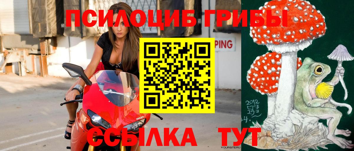 Галлюциногенные грибы мицелий  Вход с VPN  Псилоцибиновые грибы Magic Shrooms  купить наркотики сайты  Ухта 