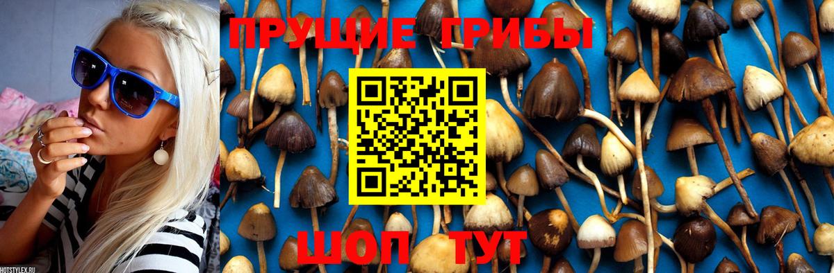 Псилоцибиновые грибы MAGIC MUSHROOMS Ухта